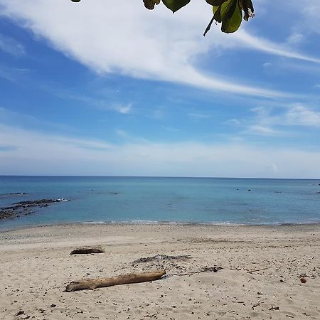 Pura Vida House Cabo Blanco Villa Nicoya Kültér fotó