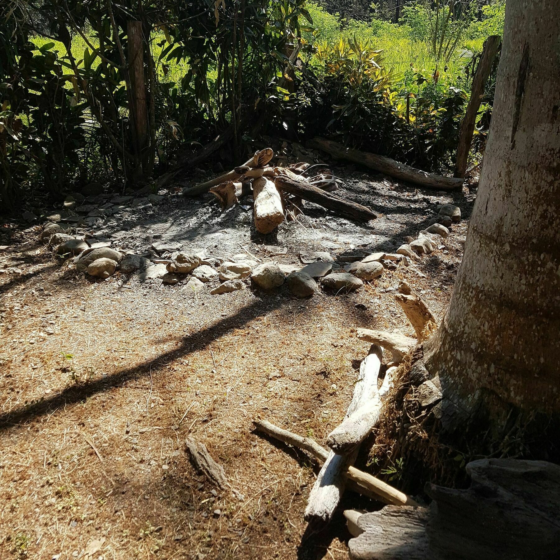 Pura Vida House Cabo Blanco Villa Nicoya Kültér fotó